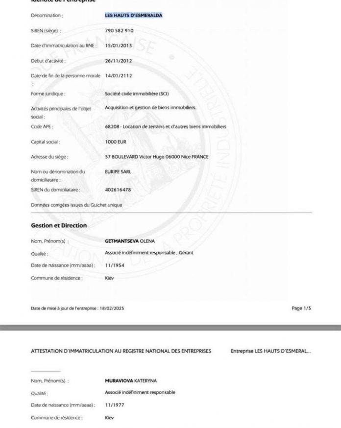 Декларація Данила Гетьманцева: прихована квартира у Франції